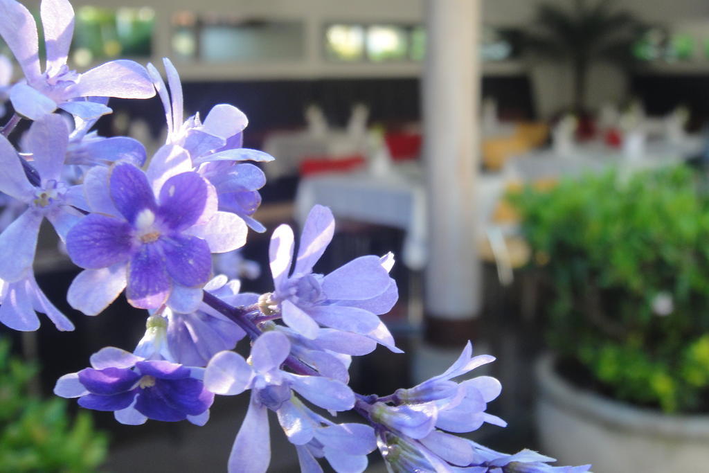 Casa Oniri Hotel Boutique Баричара Экстерьер фото